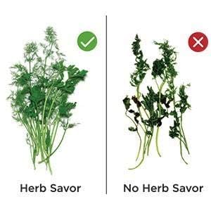 ESTOREMAX Herb Saver Pod for Fridge, Plastic Storage Container Keeps Herbs Fresh Longer.