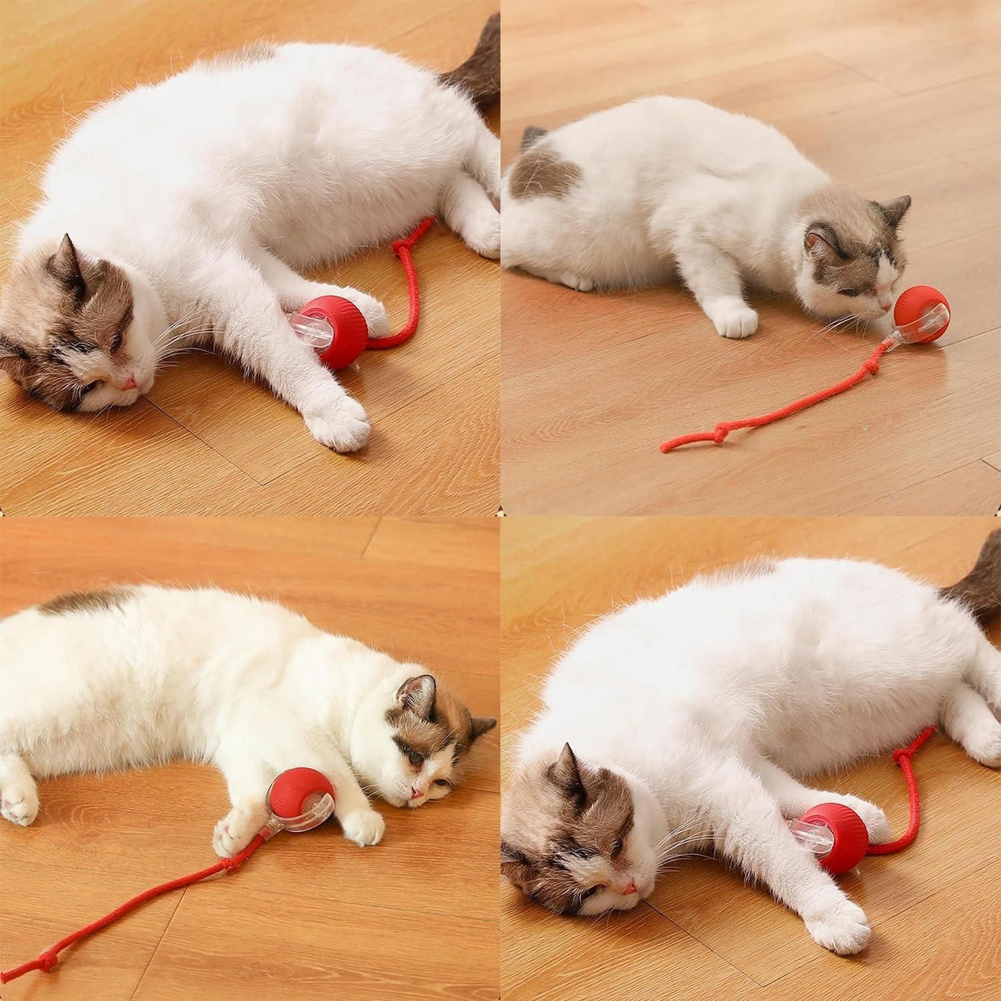 ESTOREMAX Chewie Rolling Ball, Interactive Cat Toys Rolling Ball, Dog Toy Indestructible, Interactive Dog Ball Toy with USB Rechargeable, Smart Automatic Rolling Ball for Small, Medium Dogs
