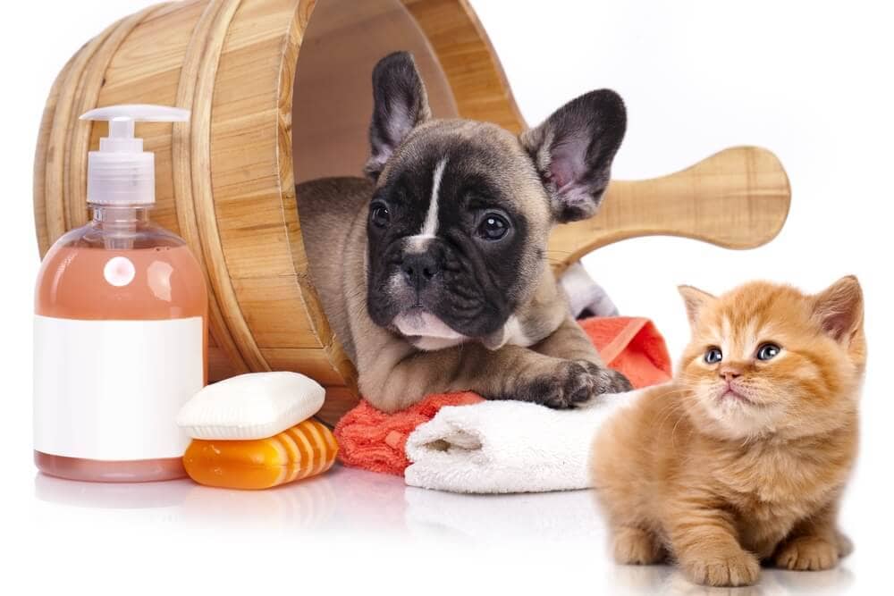 Pet Lovers