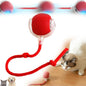 ESTOREMAX Chewie Rolling Ball, Interactive Cat Toys Rolling Ball, Dog Toy Indestructible, Interactive Dog Ball Toy with USB Rechargeable, Smart Automatic Rolling Ball for Small, Medium Dogs